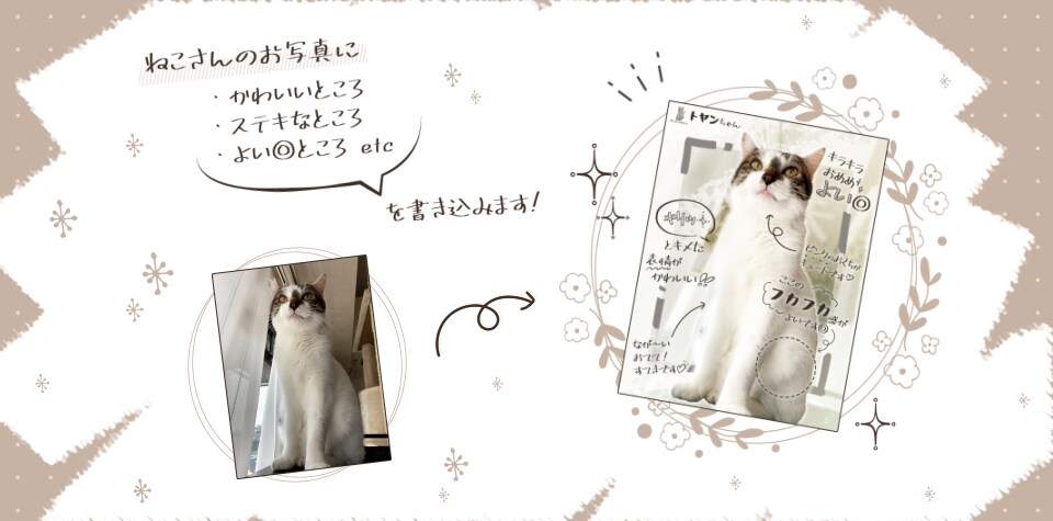 あなたのおうちのねこさんをほめます ねこさんのお写真に、ねこさんのステキなところを書き込みます イメージ3