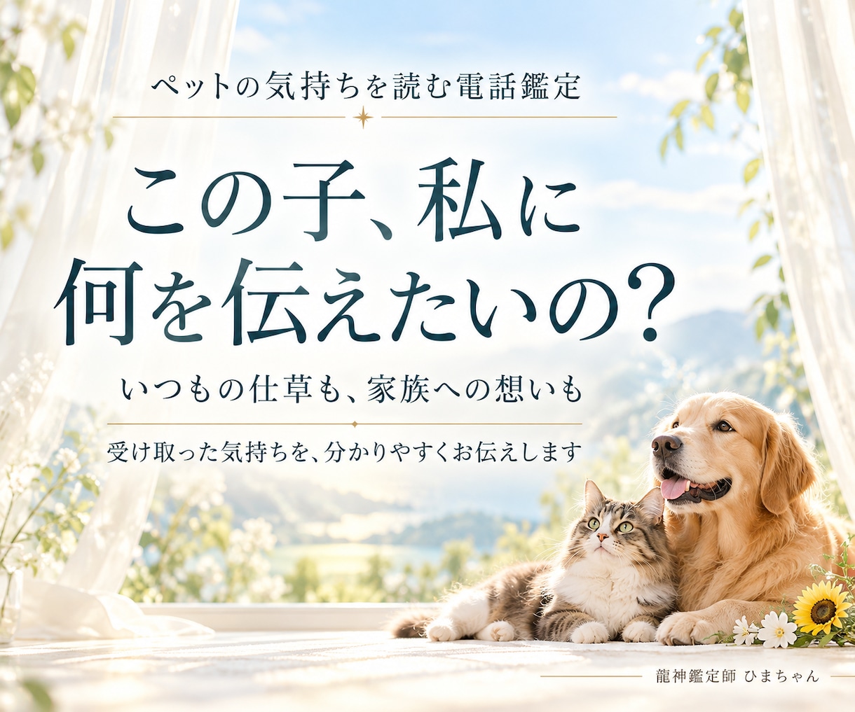 ペットの気持ちと仕草の理由を霊視でお伝えします 今いる子も旅立った子も、受け取った想いを丁寧にお伝えします イメージ1