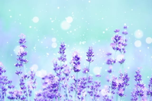 チャットで60分☆彡あなたのお話じっくり聞きます お悩み・弱音・愚痴・雑談も☆たくさん出して楽になりませんか? イメージ10