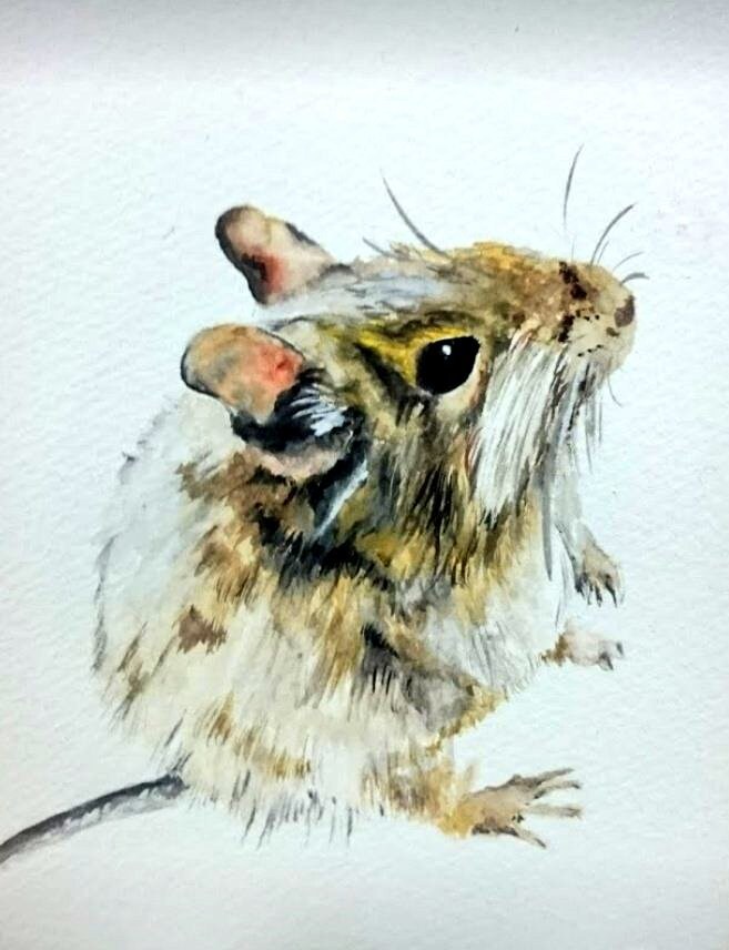 データ配送⚠多種多様なペットの似顔絵お描き致します インテリアやプレゼント、記念日などに温かい絵を届けます イメージ6