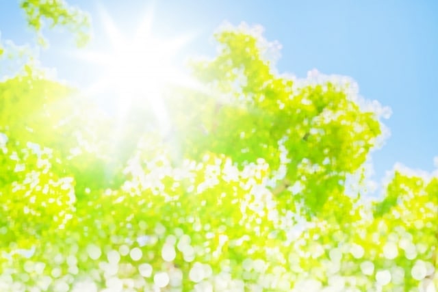 30分のお友達♡トークルームで繋がります お電話が苦手な方◇メッセージでお話ししませんか？お悩み雑談◇ イメージ7