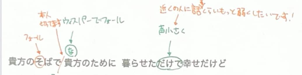 歌唱添削！歌詞に直接アドバイスを書き込みます 歌い方・表現・抑揚、一人ひとりに合わせてアドバイスします！ イメージ3