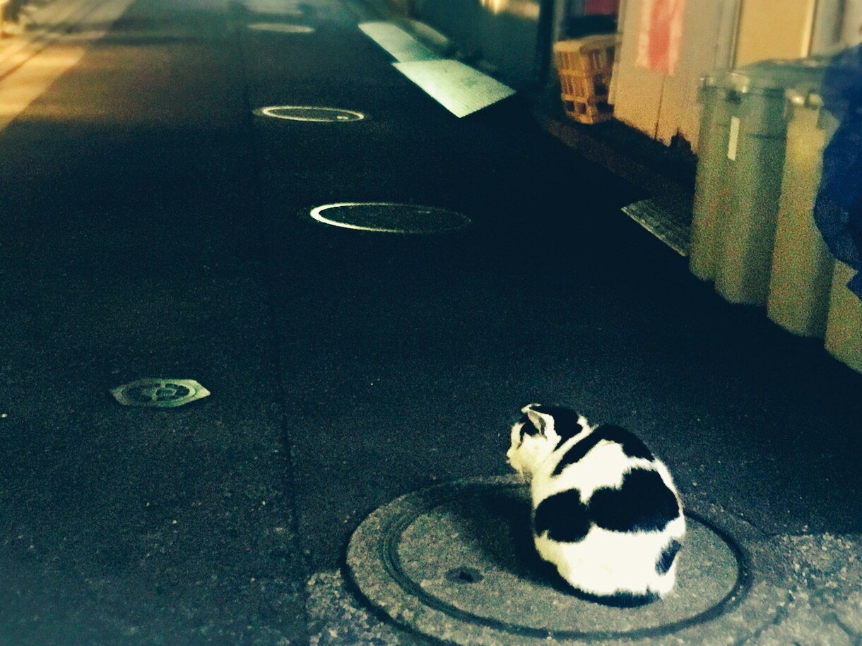 どんなに小さな悩みでも愚痴でも相談にのります 人には言えない悩み、愚痴、些細なことを誰かに話したいあなたへ イメージ1