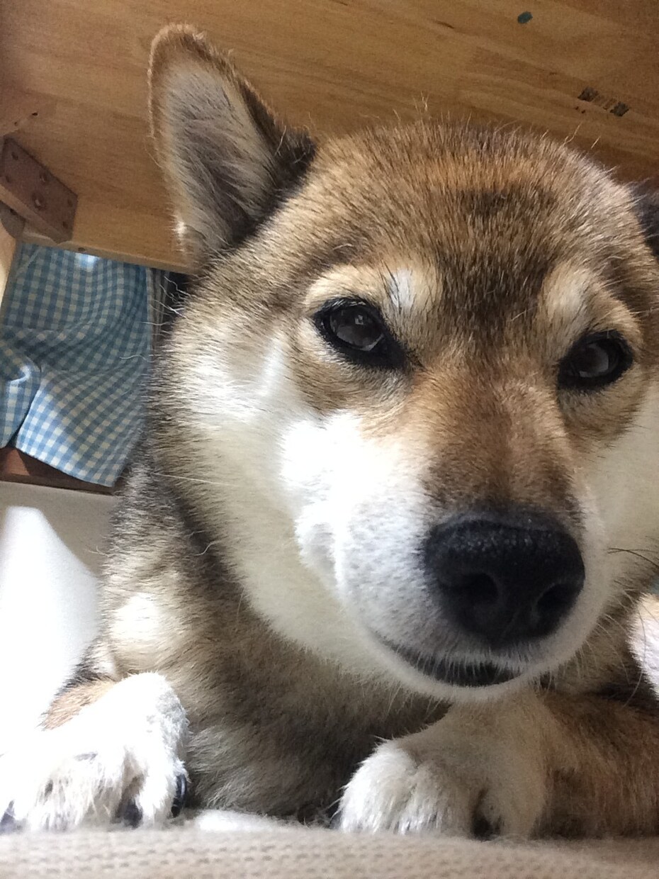心の中にしまっている思いを何でもお聴きします ちょっと聴いてもらいたいだけでも構いません。 イメージ3