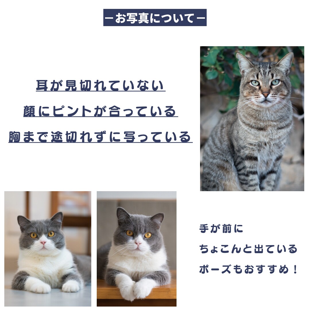ペットの誕生日や記念日をデジタルアートにします ３デザイン納品します、二次加工や商用利用OKです！ イメージ7