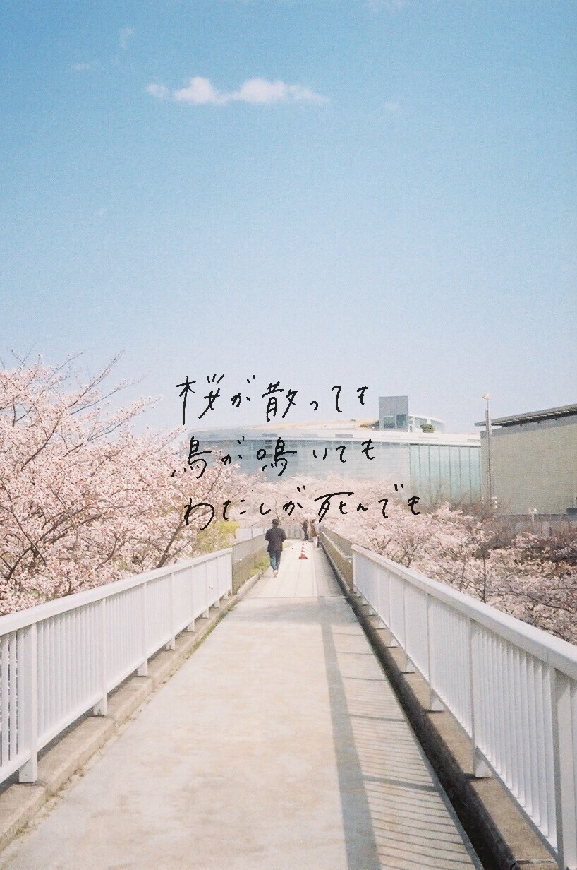 写真提供 手書き文字ます フィルム写真やデジタル写真の提供や手書き文字を入れます。 イメージ3