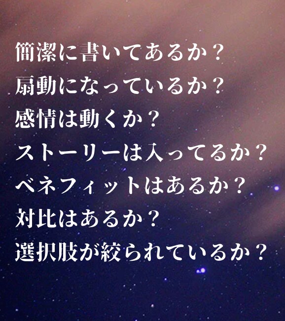格安】メルマガ、LP、セールスレター動画添削します 動画により改善ポイントの指摘し、売上がるレターに改善します イメージ2