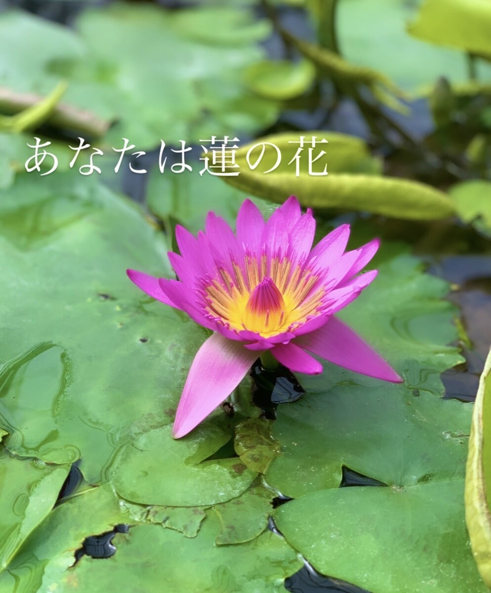 大天使達からメッセージをお届けします あなたの守護天使がメッセージを伝えたがっています(*^^*) イメージ6