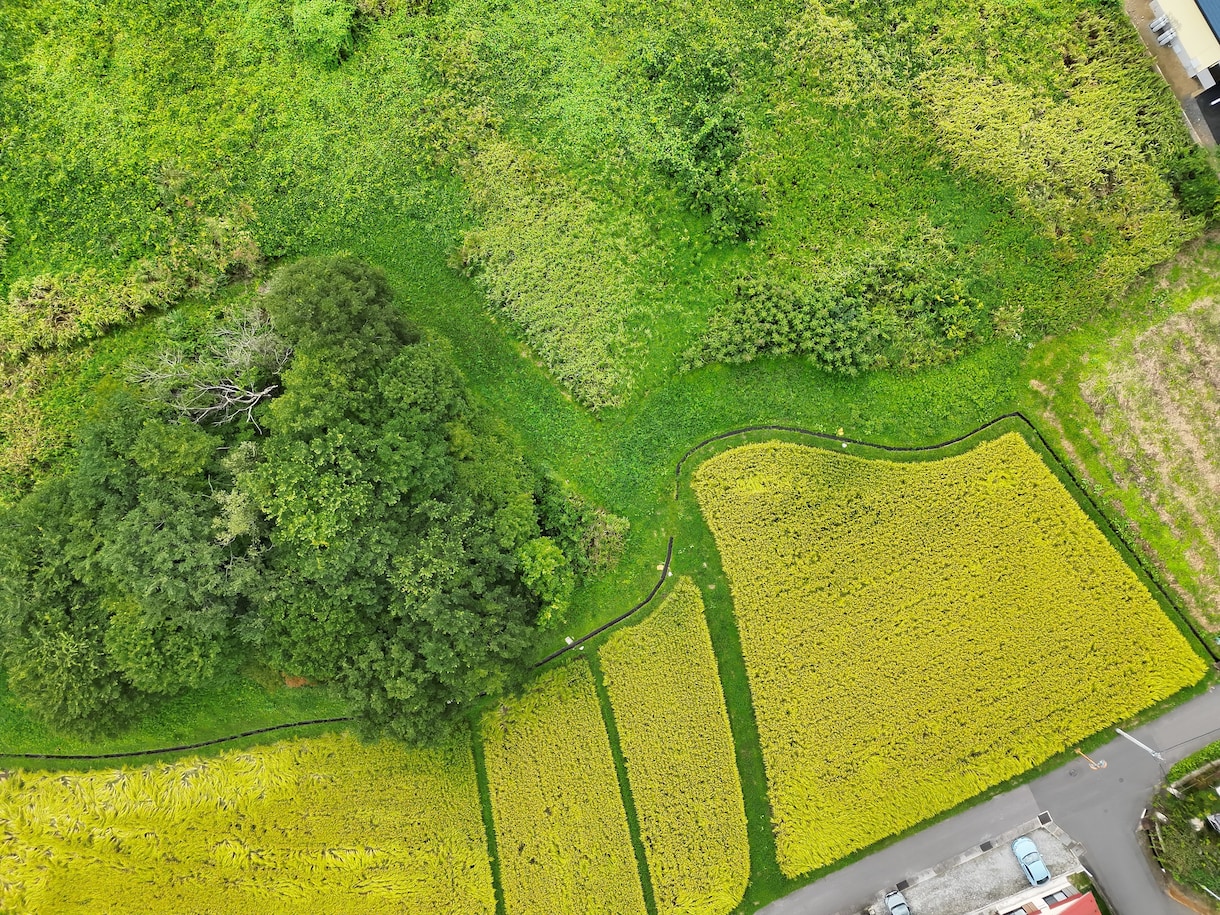 一等資格者がドローン空撮・建物点検を承ります Matrice400・H30T、MAVIC4PRO対応。空撮 イメージ5