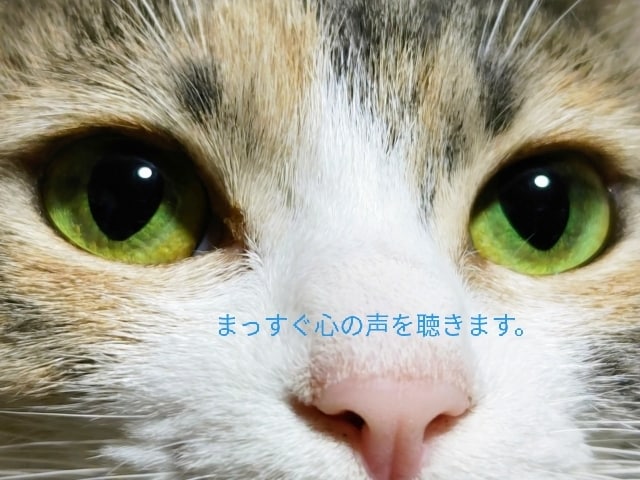 話してほっとしよ！あなたの声にならない声を聴きます 落ち着いて、一息。あなたのペースでゆっくりとお話聴きます。 イメージ10