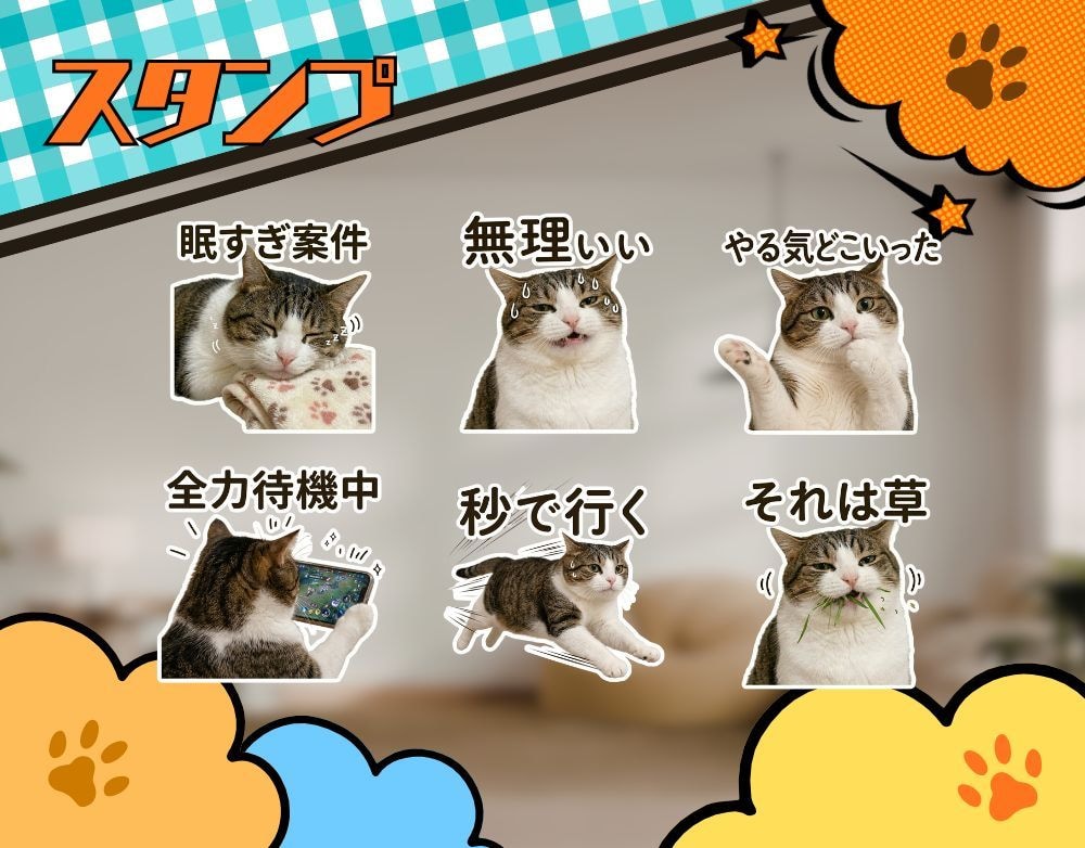 猫のギャグLINEスタンプ作ります 日常ネタ発想で猫スタンプ制作します イメージ2