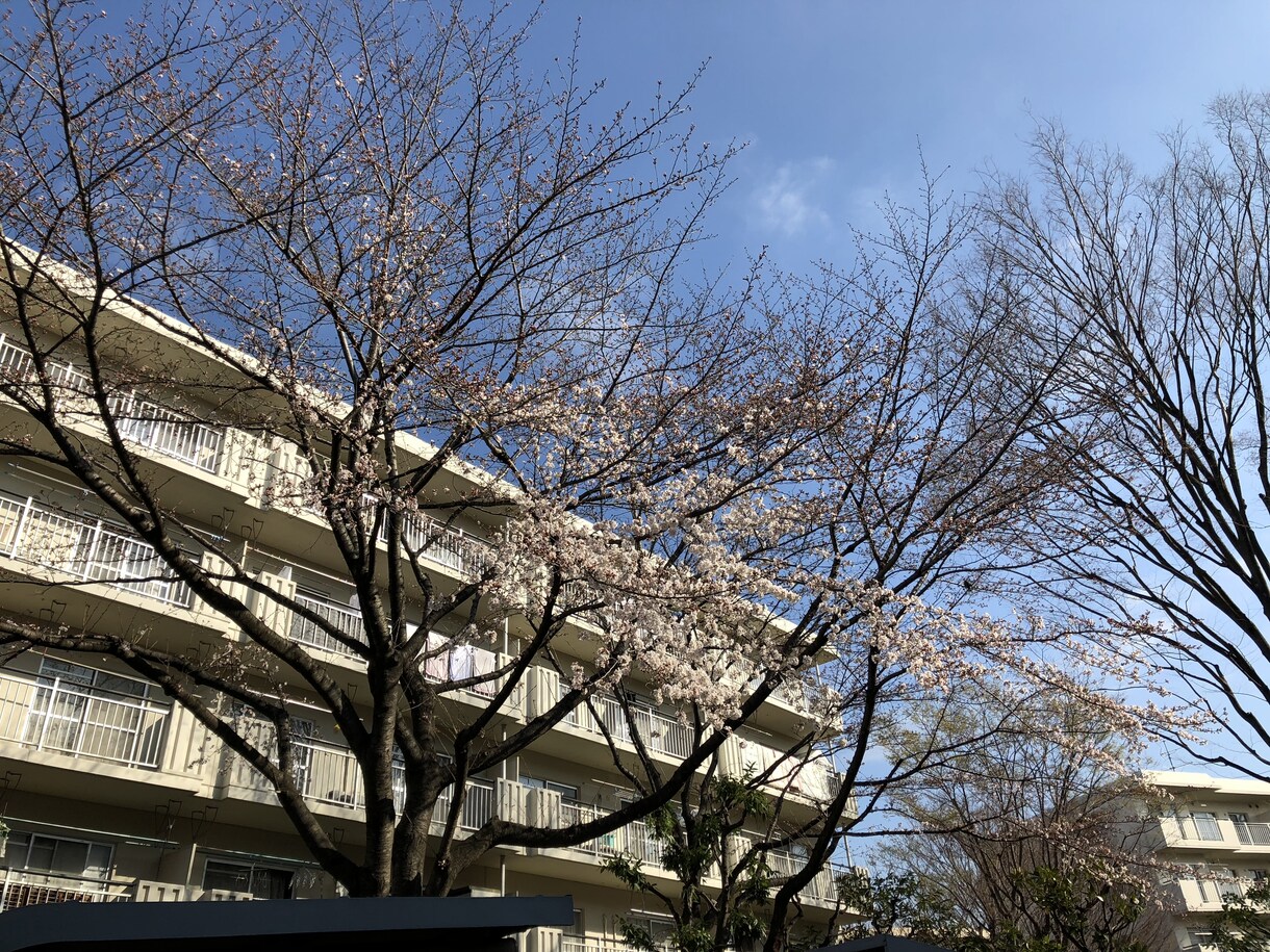 部屋探し相談にのります 引っ越しを全面的にサポート、相談のります。 イメージ5