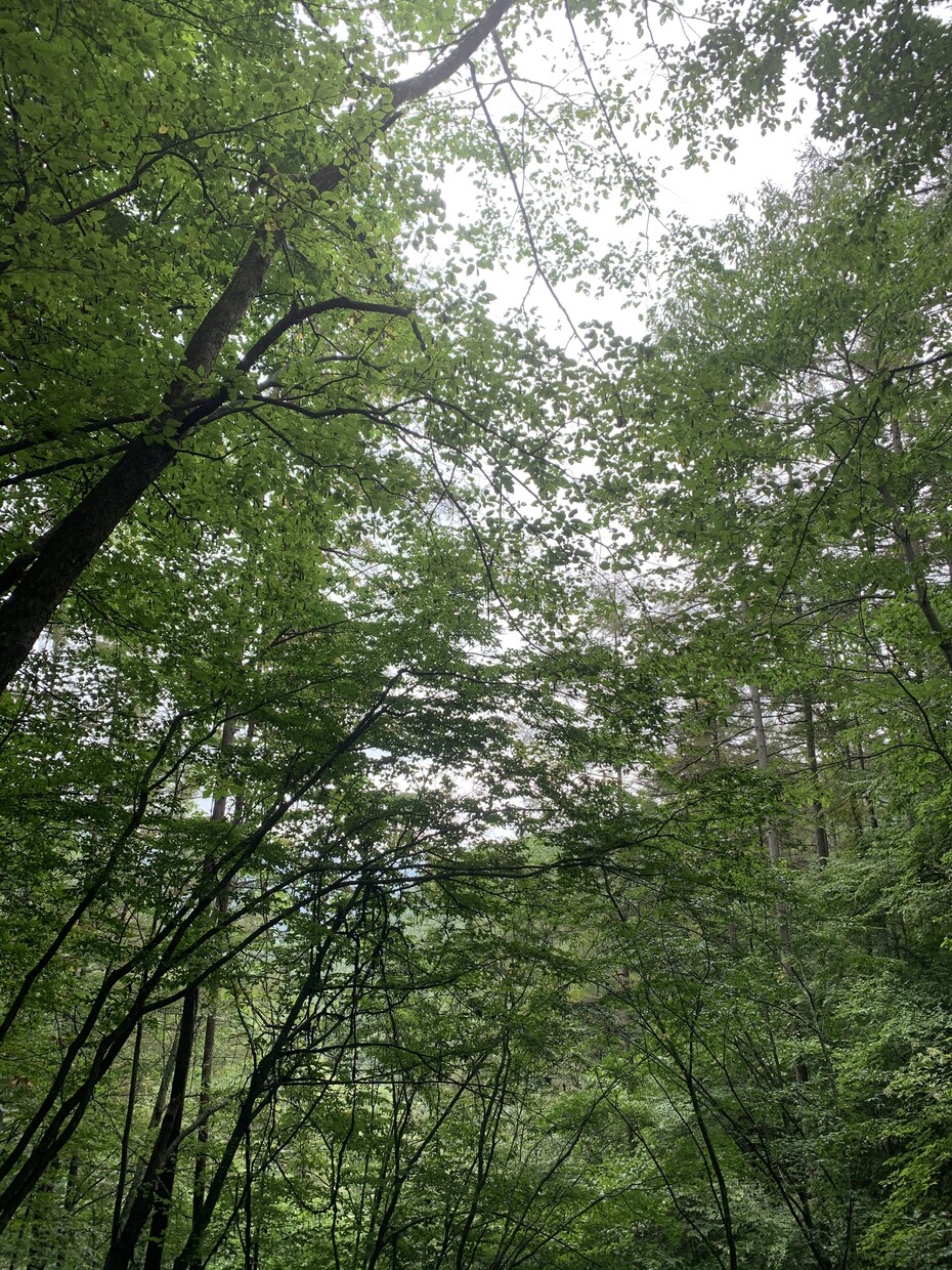 なんでも聞きます その言いたいこと話しませんか?☺️ イメージ1