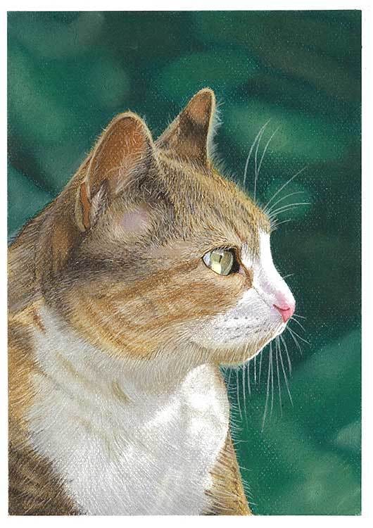 ペットの似顔絵を写真のようにリアルに描きます 犬、猫、うさぎなど動物の肖像画を手描きでリアルに描きます イメージ1