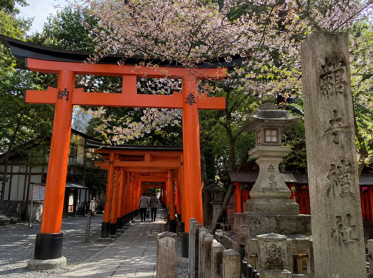 今あなたを呼んでいる神社仏閣を霊視します 参拝するとよい方角と神仏を届けます イメージ2