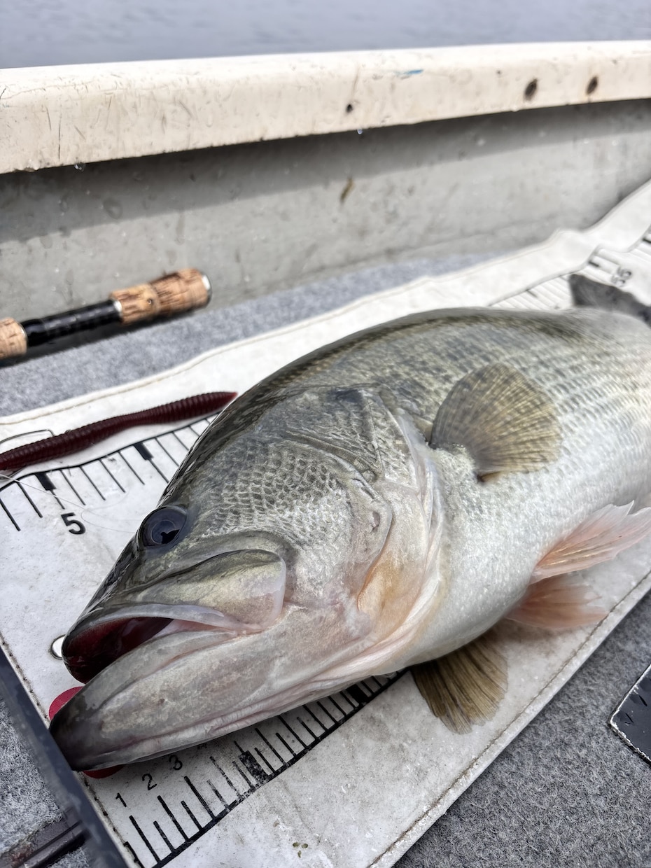 琵琶湖バス釣りSNS運用/動画作成できます バス釣りSNSを強化したい、お客様を楽しませたい！ イメージ1