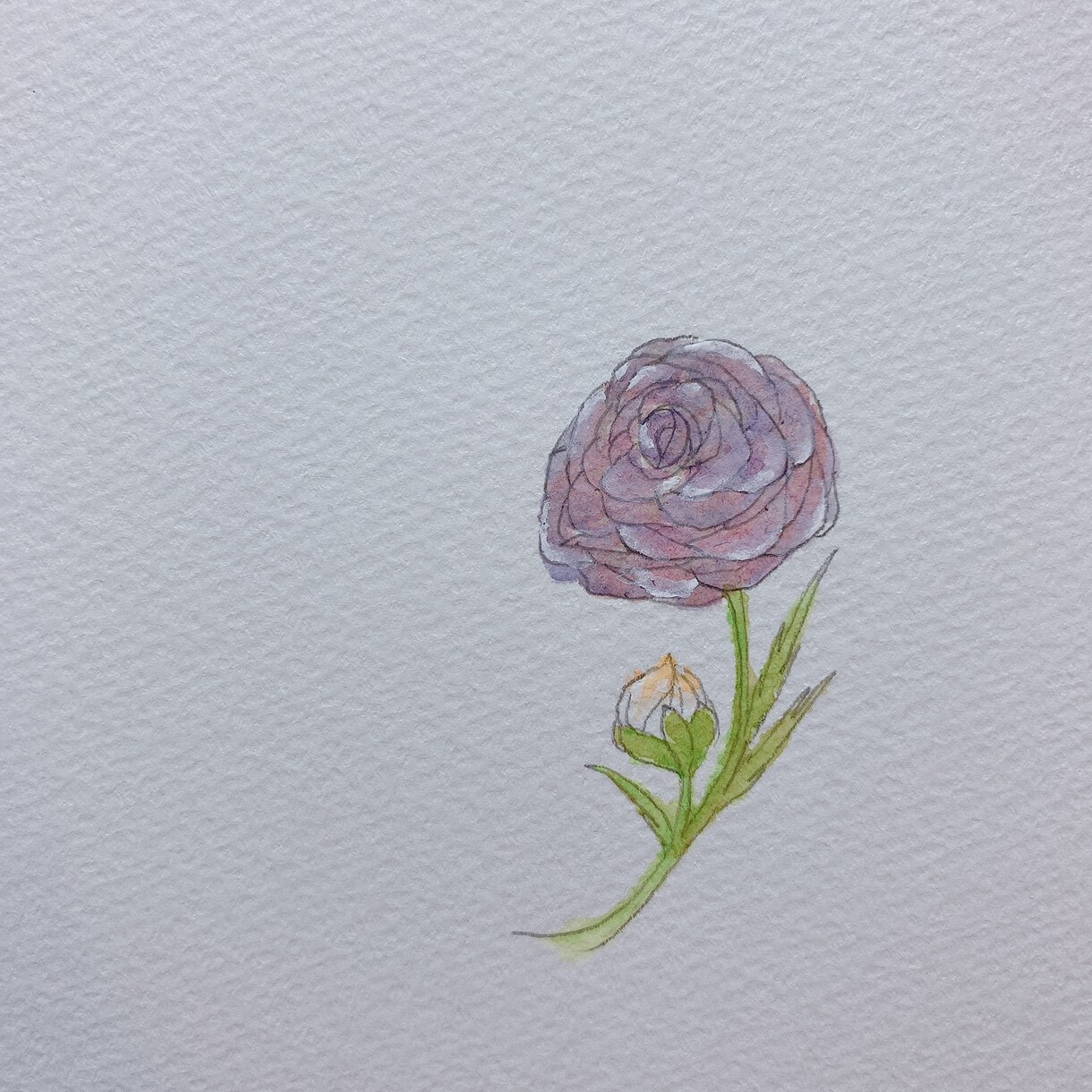アイコン、ロゴ、ウエディング！イラストを提供します アナログで完全手書きの水彩画です。気持ちを込めてかきます。 イメージ2