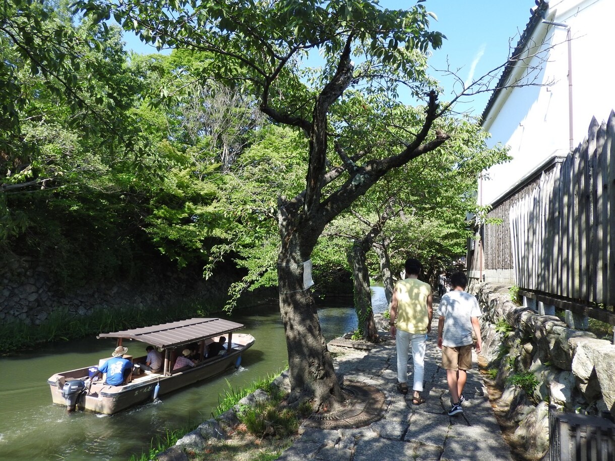 スマホやデジカメで撮影した自然な写真を撮ります スマホやデジカメで撮った風景など イメージ5
