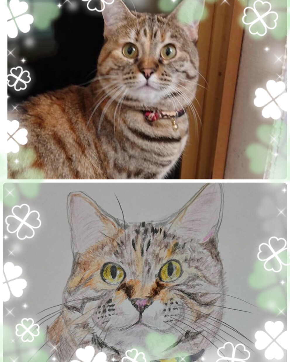 お家の猫ちゃんの似顔絵描きます 色鉛筆で丁寧に仕上げます！！お顔中心に描かせて戴きます。 イメージ3