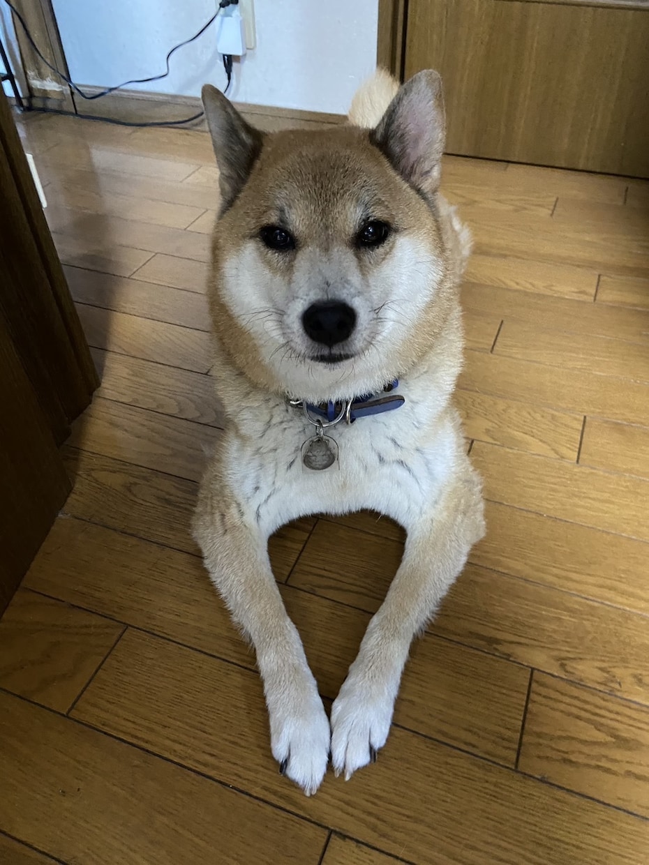 心に刺さるインタビュー記事を書きます 言葉にならない、を書き起こします。 イメージ1