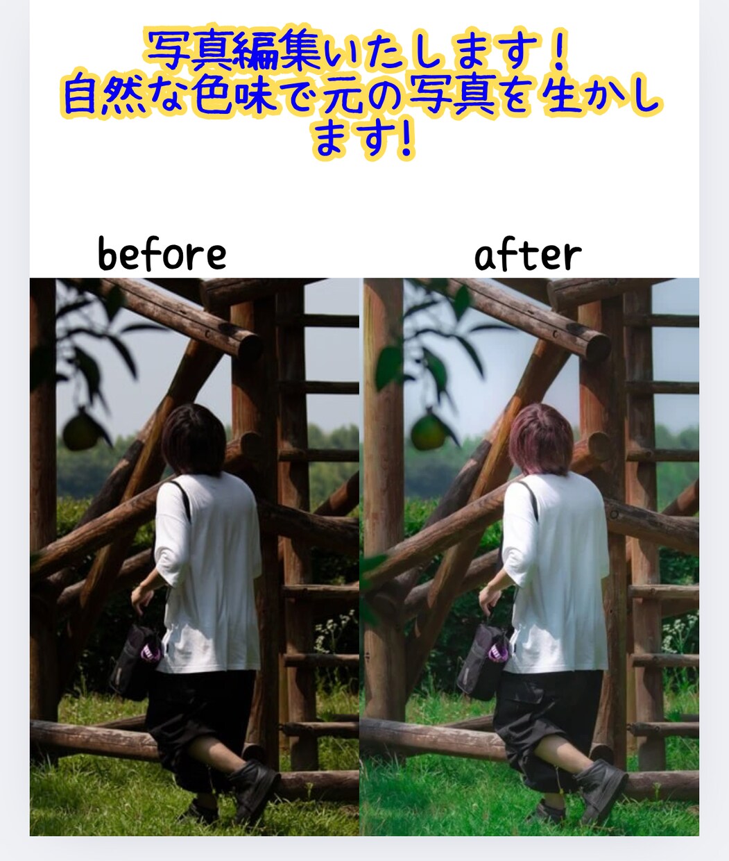 風景・動物など写真の色補正・レタッチ承ります あなたの写真をもっと美しく。自然な仕上がりの写真編集サービス イメージ1