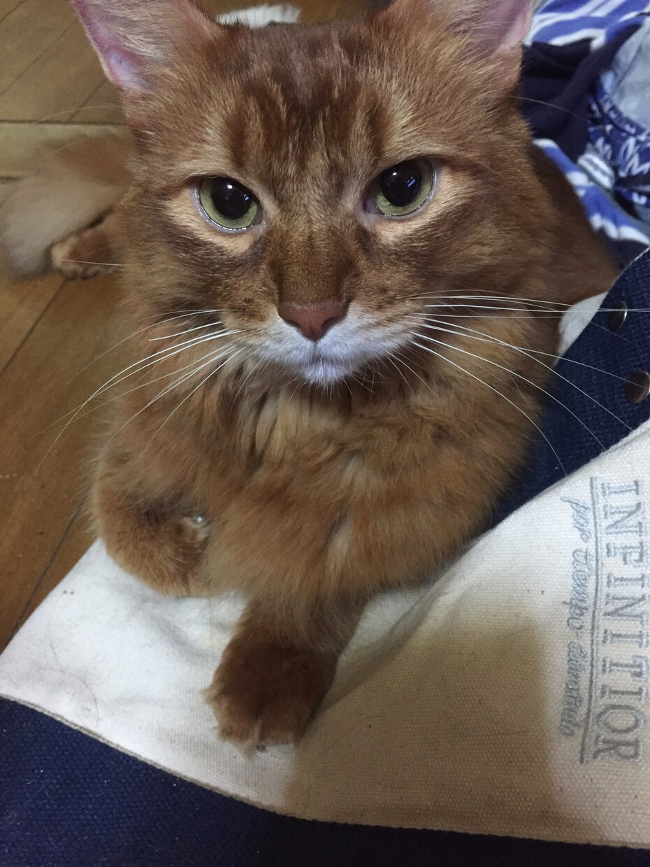 あなたのお悩み、愚痴なんでもお聞きいたします。 イメージ1