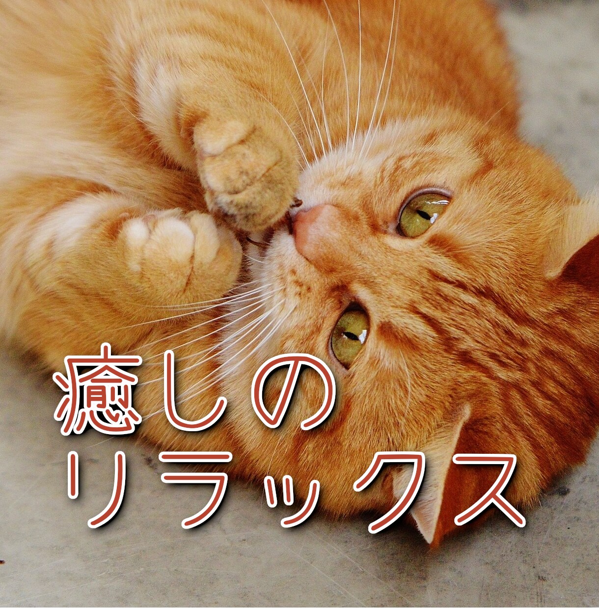 話して癒されたい方のお話を優しくお聞きします ゆっくり優しく話せるリラックスタイムをご提供します イメージ1
