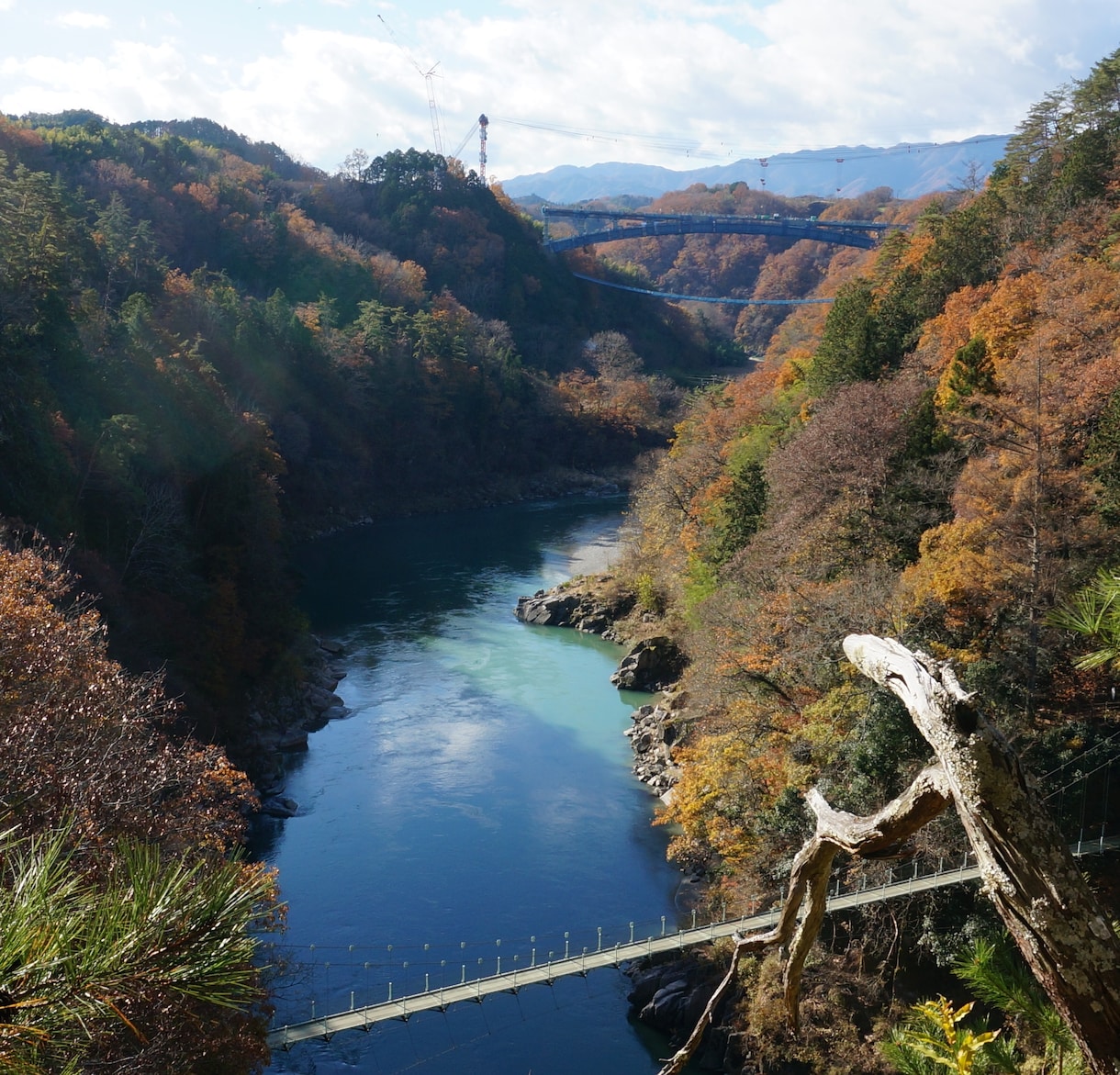 人生をもっと明るく輝かせます 気づくと視界が開け、知っているとワクワクします イメージ1