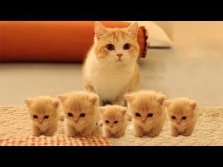 眠れない、人恋しい、ただお話をしたい方お話します 悩みは特になくて✤眠れない✤友達感覚で口下手さんも大丈夫です イメージ2