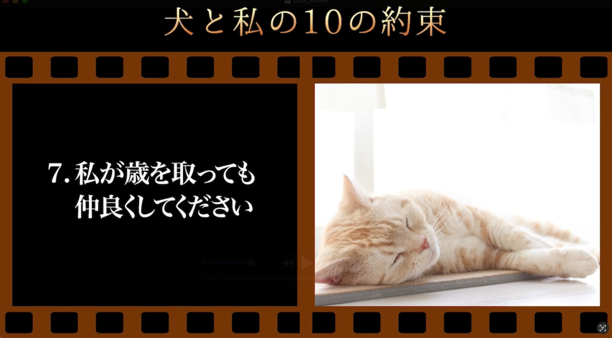 想いを形に、愛するペットのメモリアル動画ます 心に響く、優しい映像をお届け！！！ イメージ2