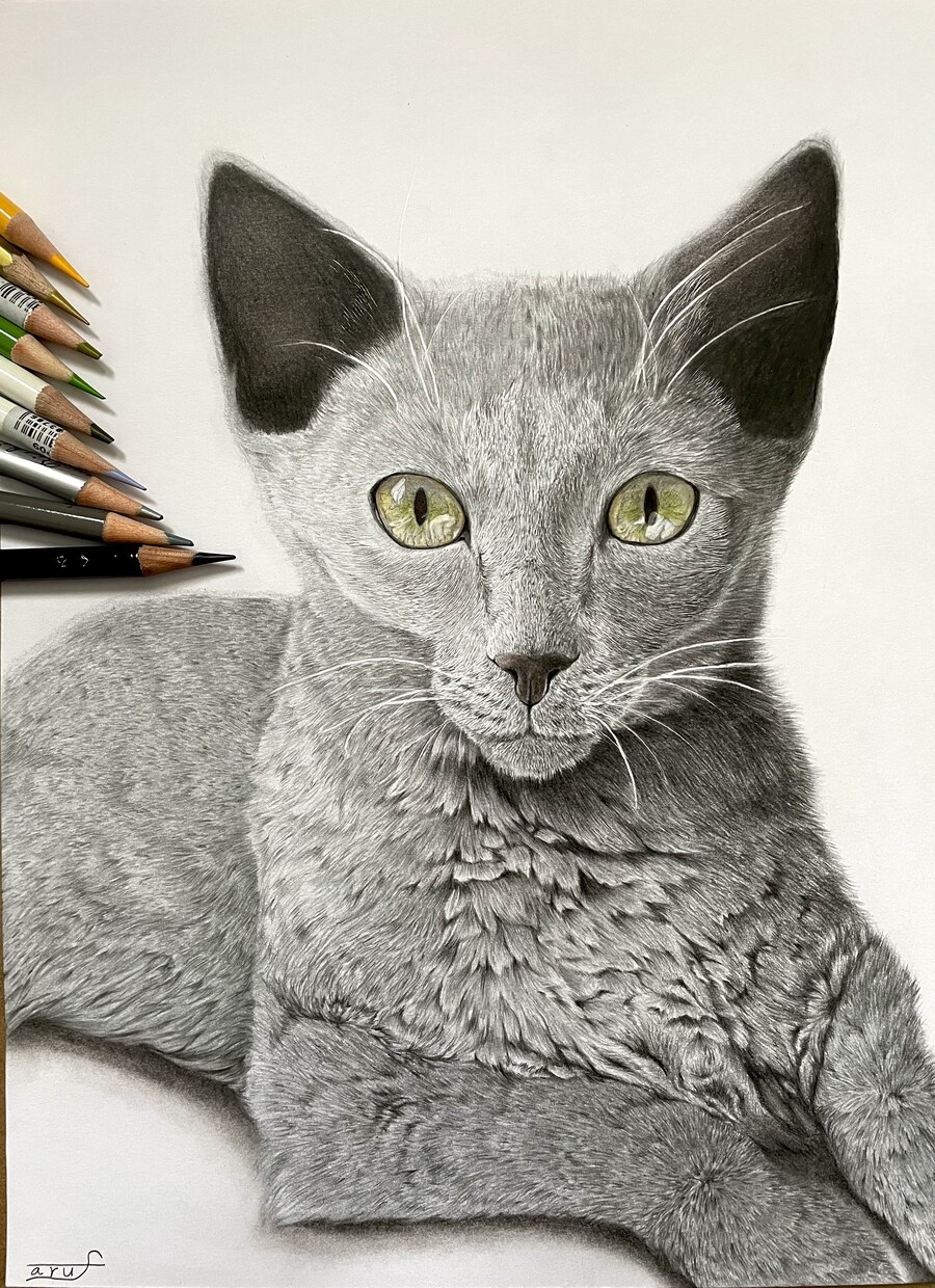あなたのペット(爬虫類なども)リアルに描きます 決して写真では感じることの出来ない息遣いを感じてみませんか？ イメージ2