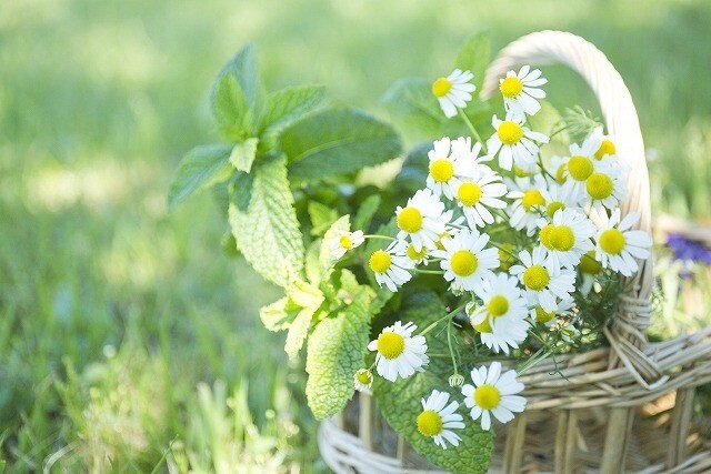 ホッと一息♡心が整う優しい時間☆をお届けします 繊細さんならではの感性で寄り添います＊安心してお話下さい＊ イメージ2