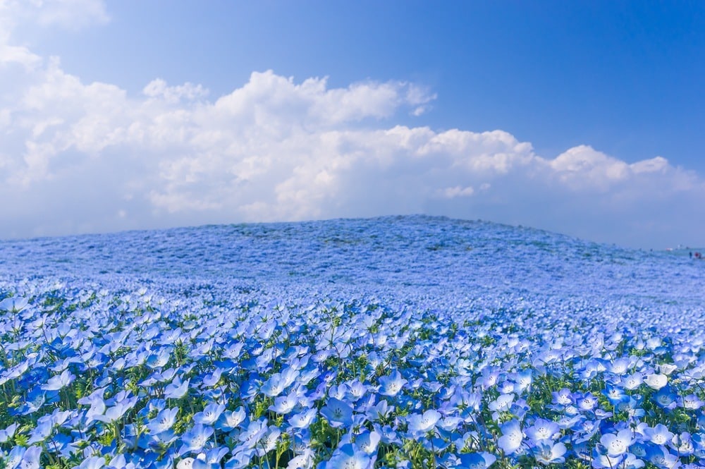 相手の気持ち・恋愛の行方はっきりとお伝えします カードが伝えるお二人の本当の未来をお伝えします イメージ1