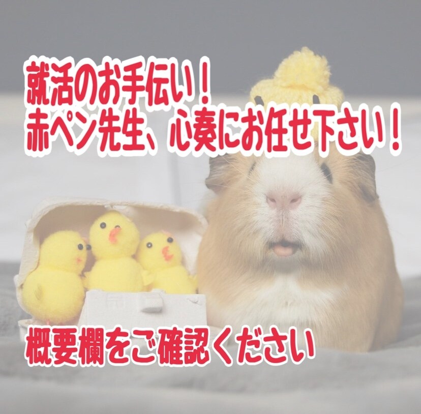 就活生へあなたの履歴書職務経歴書の赤ペン先生します あなたの就活のお手伝いさせて頂けませんか？ イメージ1