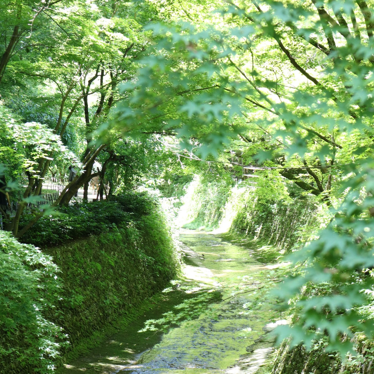 受験・就活・資格試験・合格の可能性と未来を占います 【学業運】中高大受験｜就活｜資格試験｜本番結果までの運勢表付 イメージ3