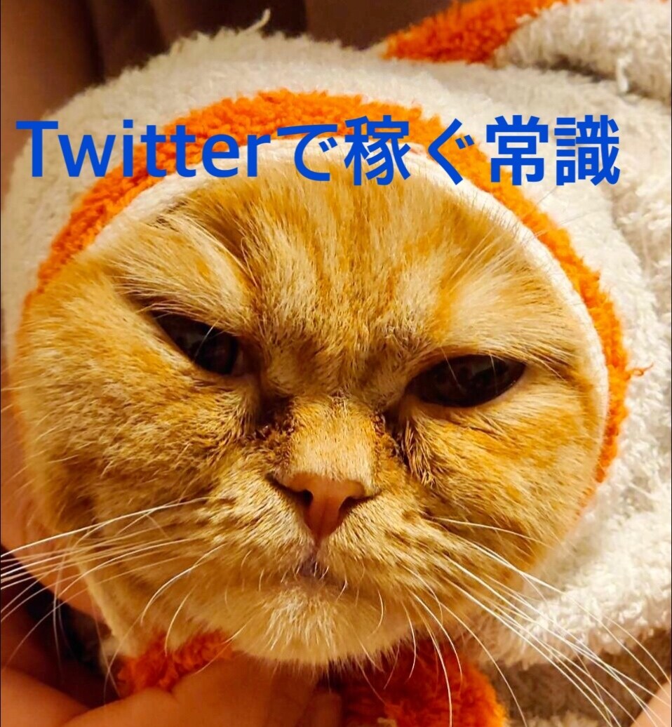 ながら作業　Twitterマネタイズ伝授します 商品の内容が不安な方へ1000円でお試し販売中 7月末まで イメージ1