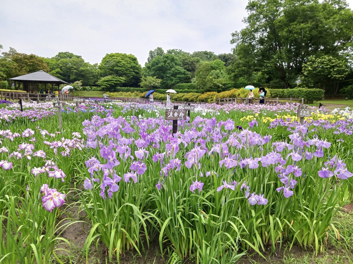 管理栄養士公立病院就職の履歴書論文作成補助します 数少ない公立病院の求人をゲットしましょう イメージ1