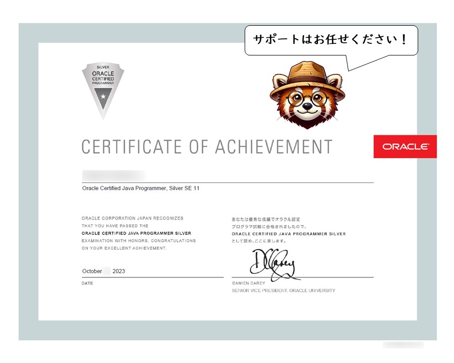 ビギナー向け:JavaSilver取得を支援します ~勉強方法で学習コストが決まる!効率的に合格しよう♪~ イメージ2