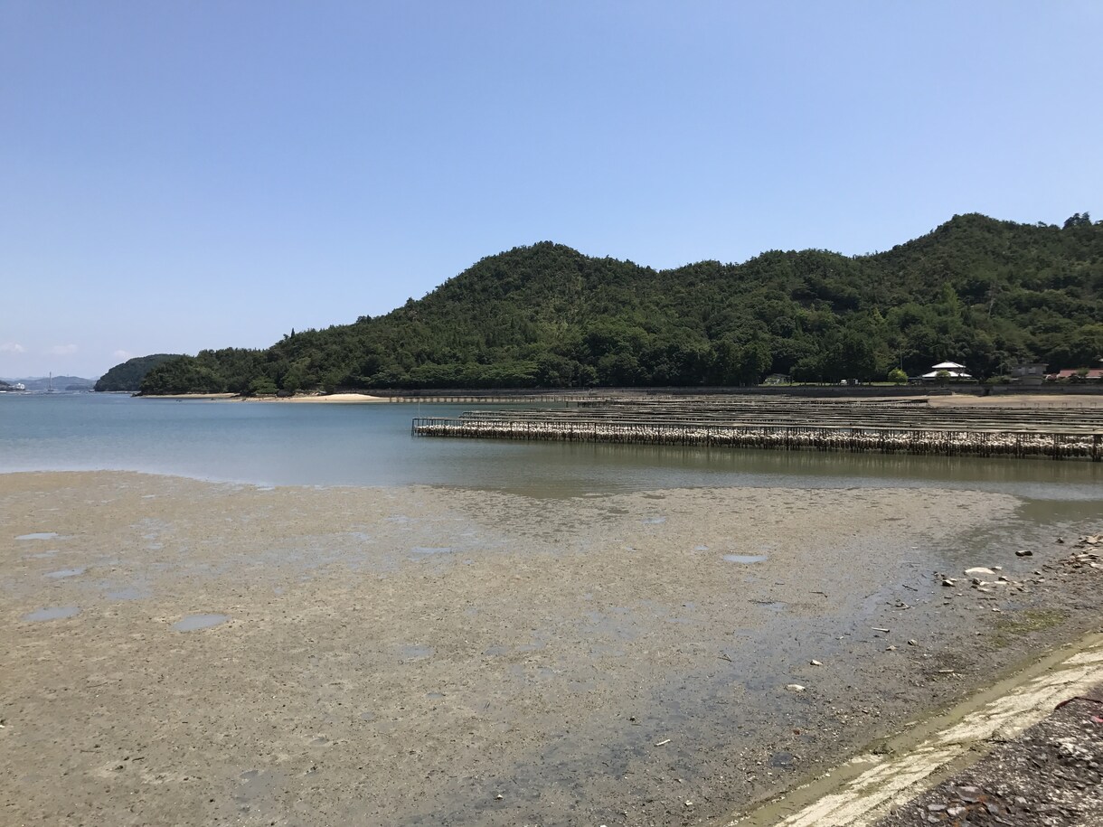 お店のあらゆる改善提案を行います 宿泊業、サービス業、飲食業、小売店のオーナー様へ イメージ1