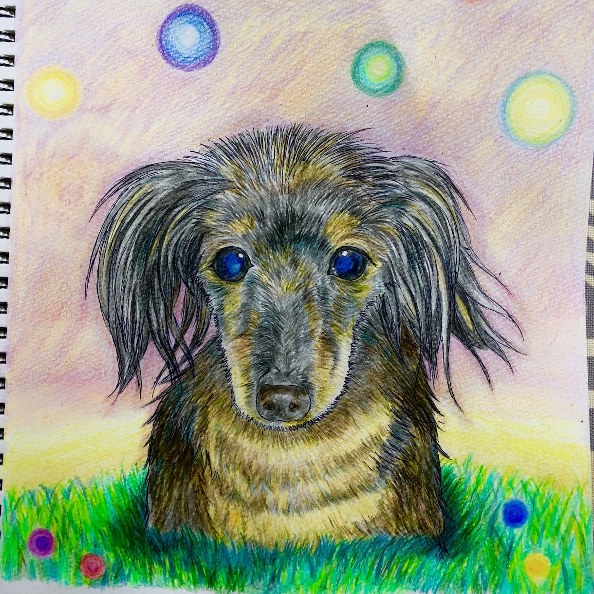 可愛い！思わず飾りたくなるペットイラスト描きます 世界にたった1枚の宝物を作りませんか？ イメージ9