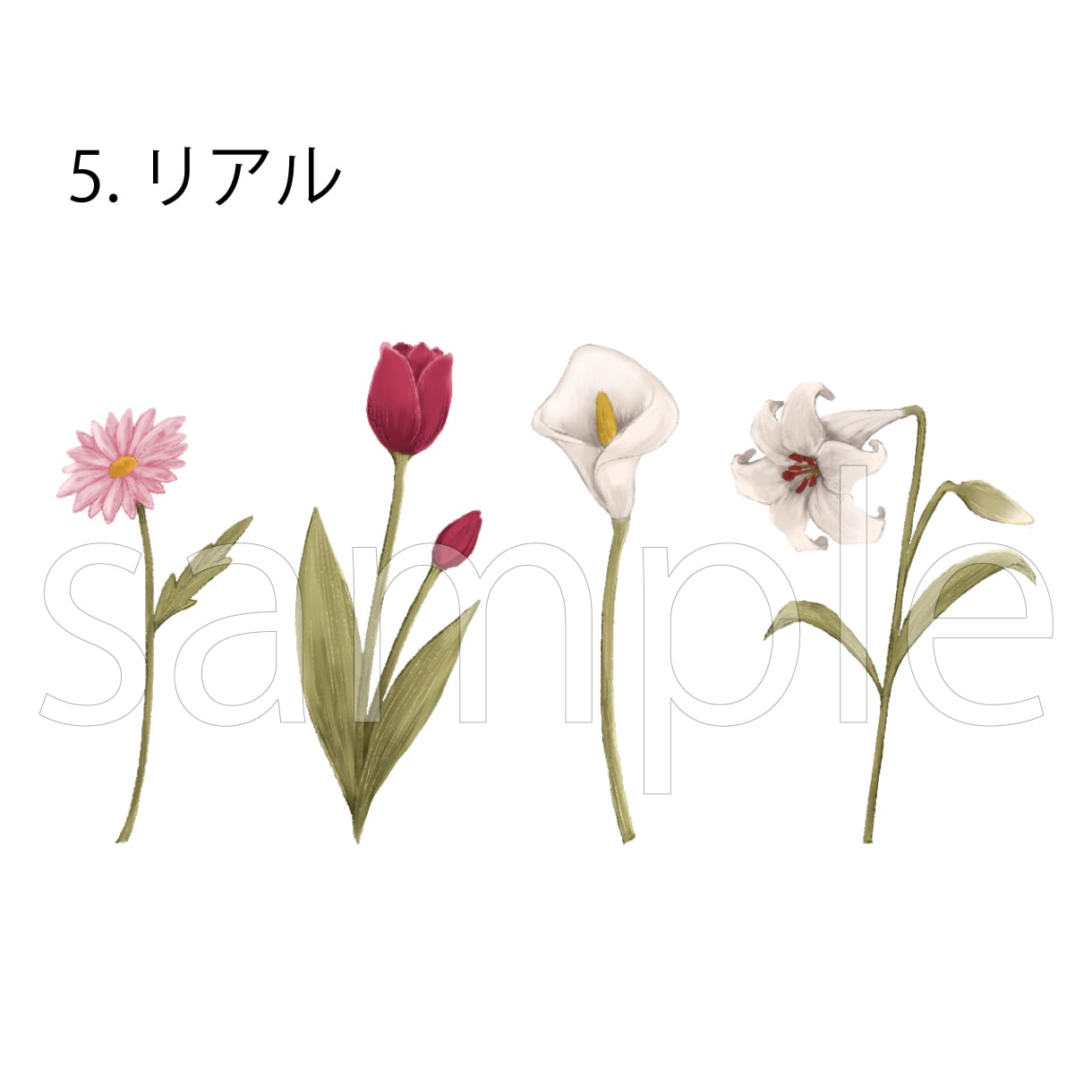 色々なテイストの植物イラスト描きます 一筆書き、図鑑みたいな線画、リアルなどお選びいただけます イメージ6