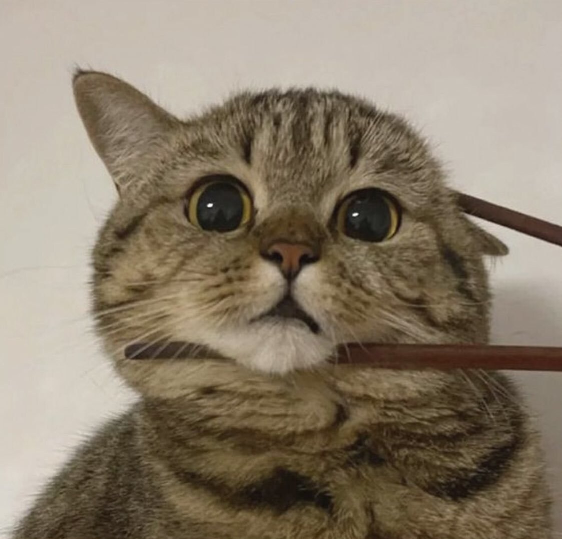 1日ゆったりとお話します お試しで1日お話してみませんか？ イメージ3