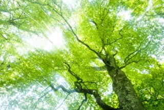 複数の選択で迷ったら… イメージ1
