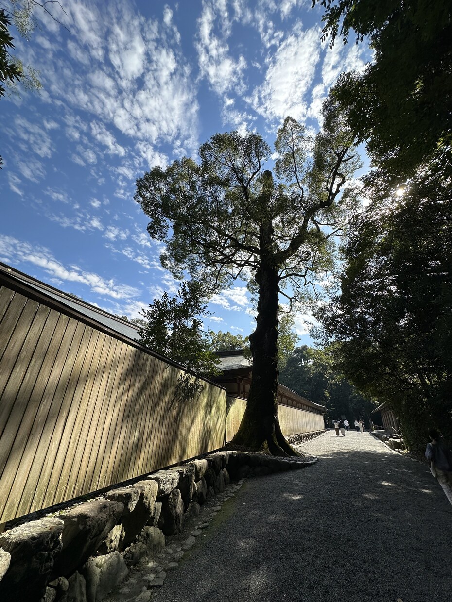 1分だけでも誰かに聞いてほしい！僕が聞きます どんな話題でも、少ない時間でも、あなたの相手をさせてください イメージ6