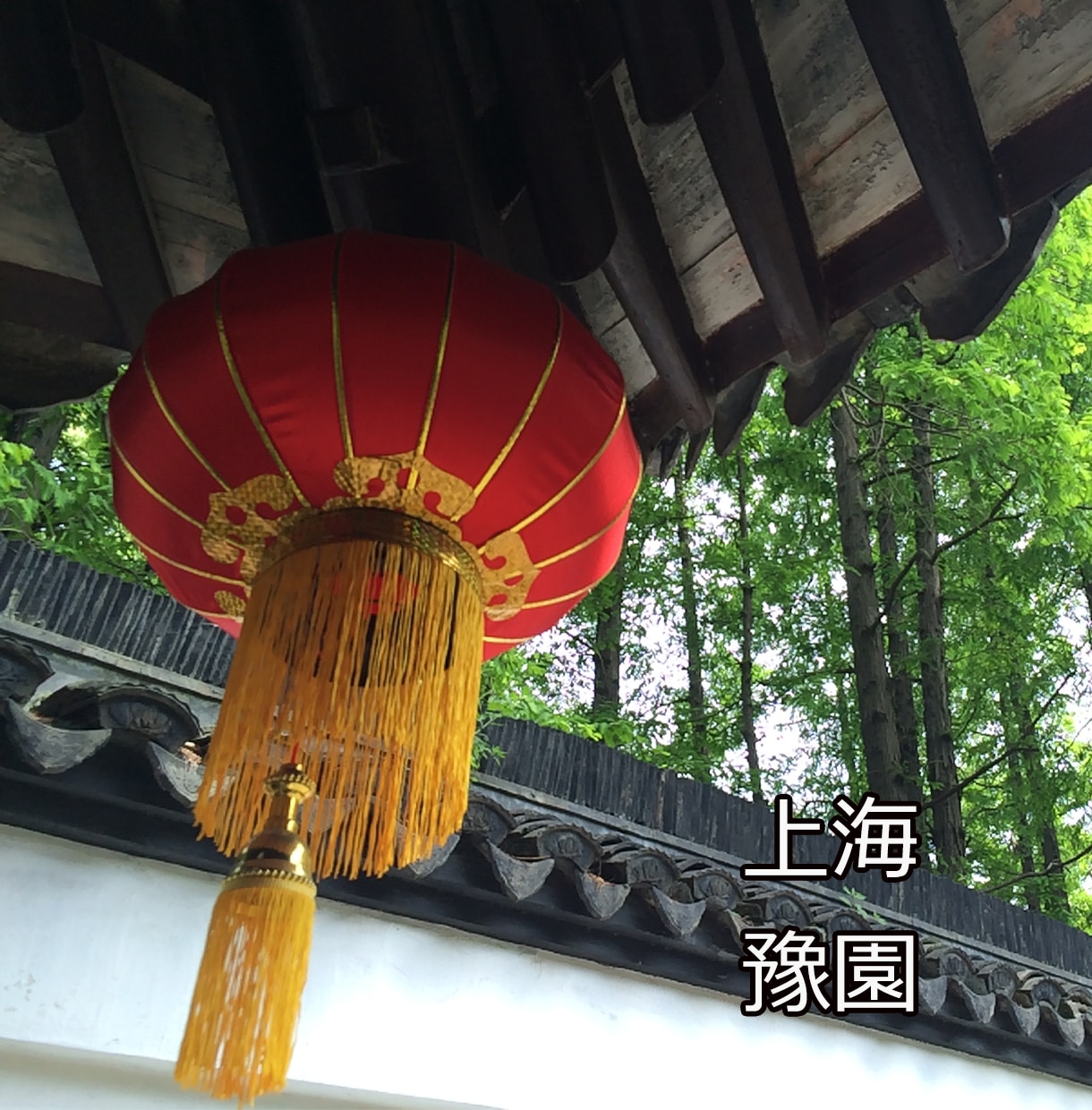 継続者さま用）個別中国語レッスンいたします 上海5つ星ホテル勤務経験者が中国語を教えます！ イメージ7