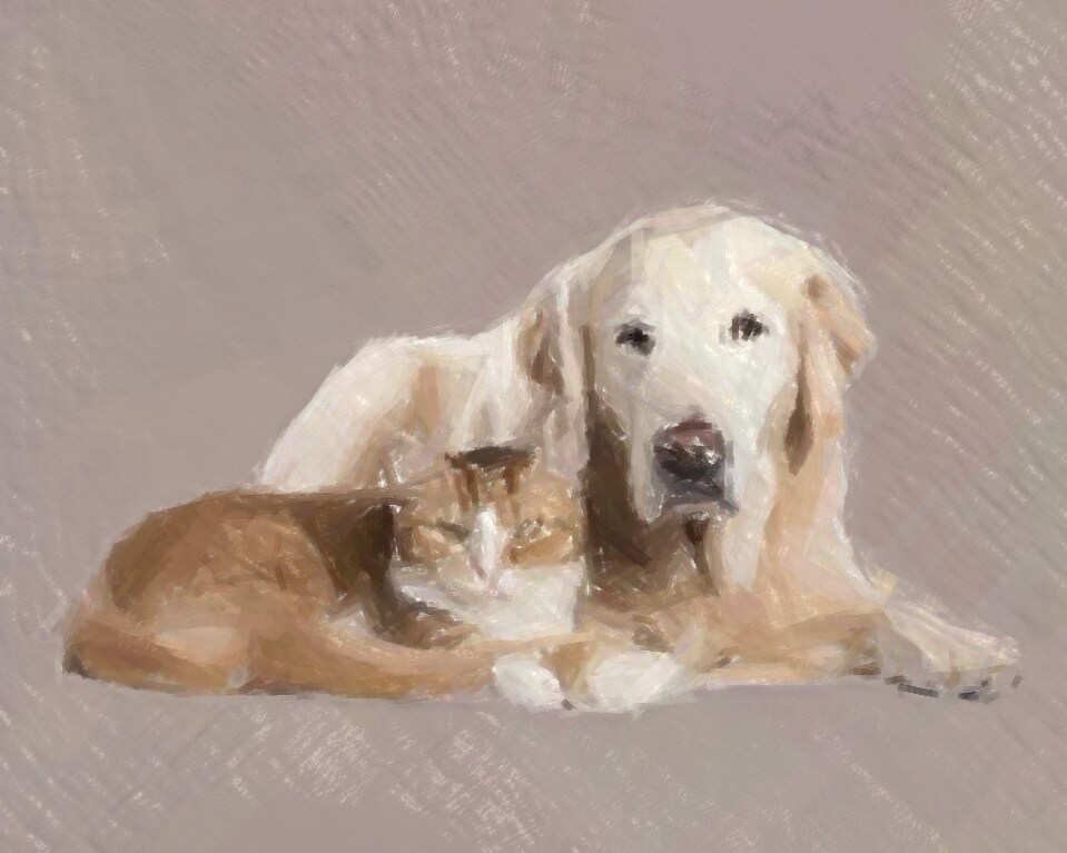 愛犬や愛猫、ペットの写真を　油絵　でデザインします 世界に一つだけの愛するペットをデザインさせてください！ イメージ8