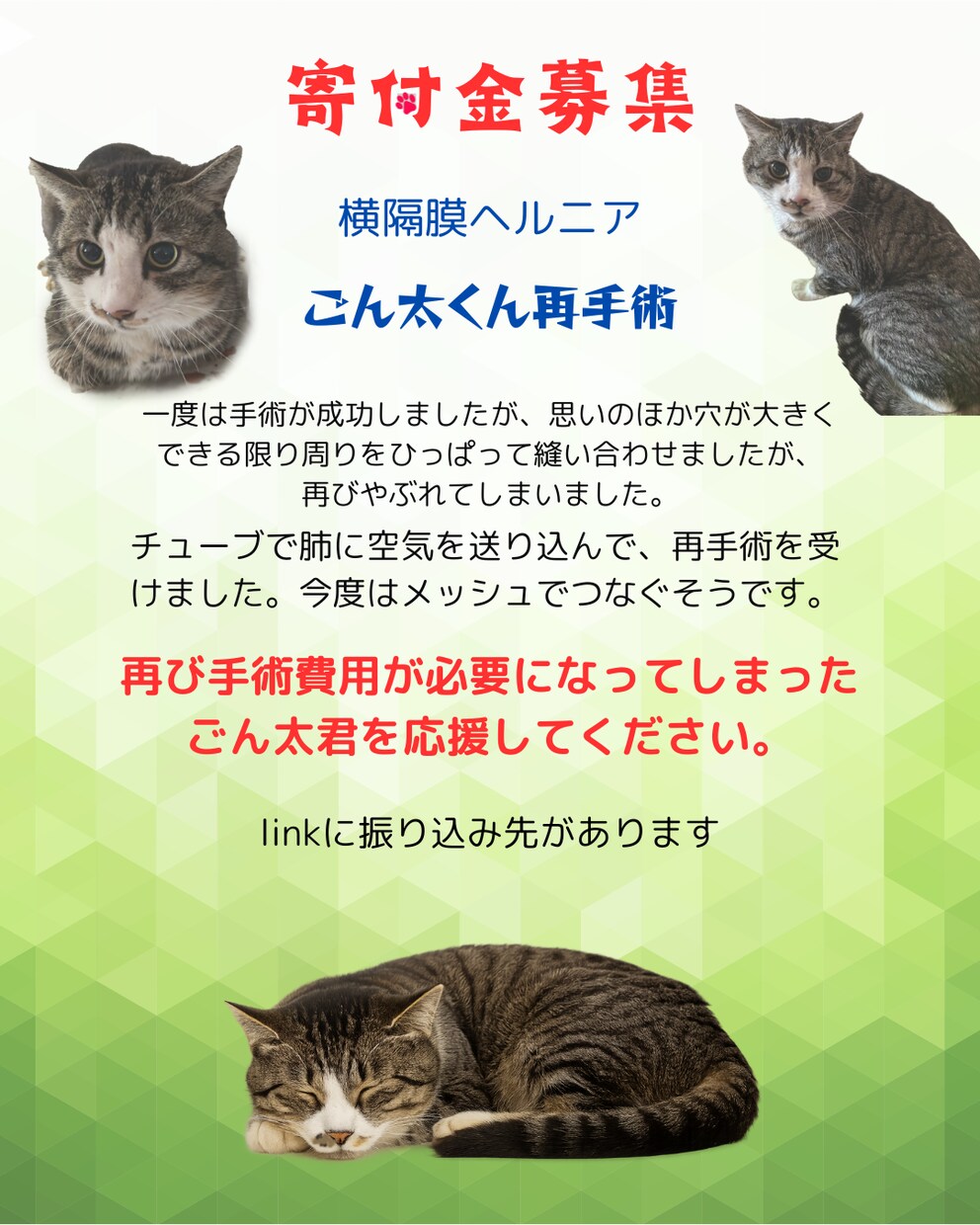 地域密着！保護猫イベントのチラシお作りします “会いに行きたい”と思ってもらえるデザインを。 イメージ8