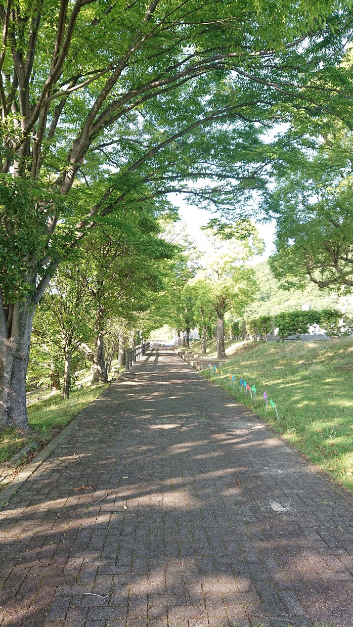 大阪府限定: お墓参り・簡易清掃の代行をいたします あなたに代わって。大切なご先祖様へ、心を込めて。 イメージ2