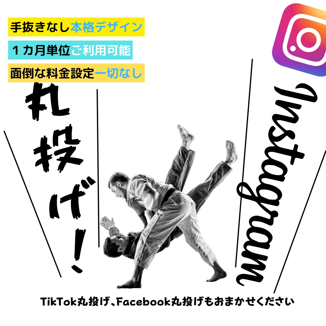 Instagram丸投げ！運用代行いたします 面倒な料金設定は一切なし！1ヶ月単位より イメージ1