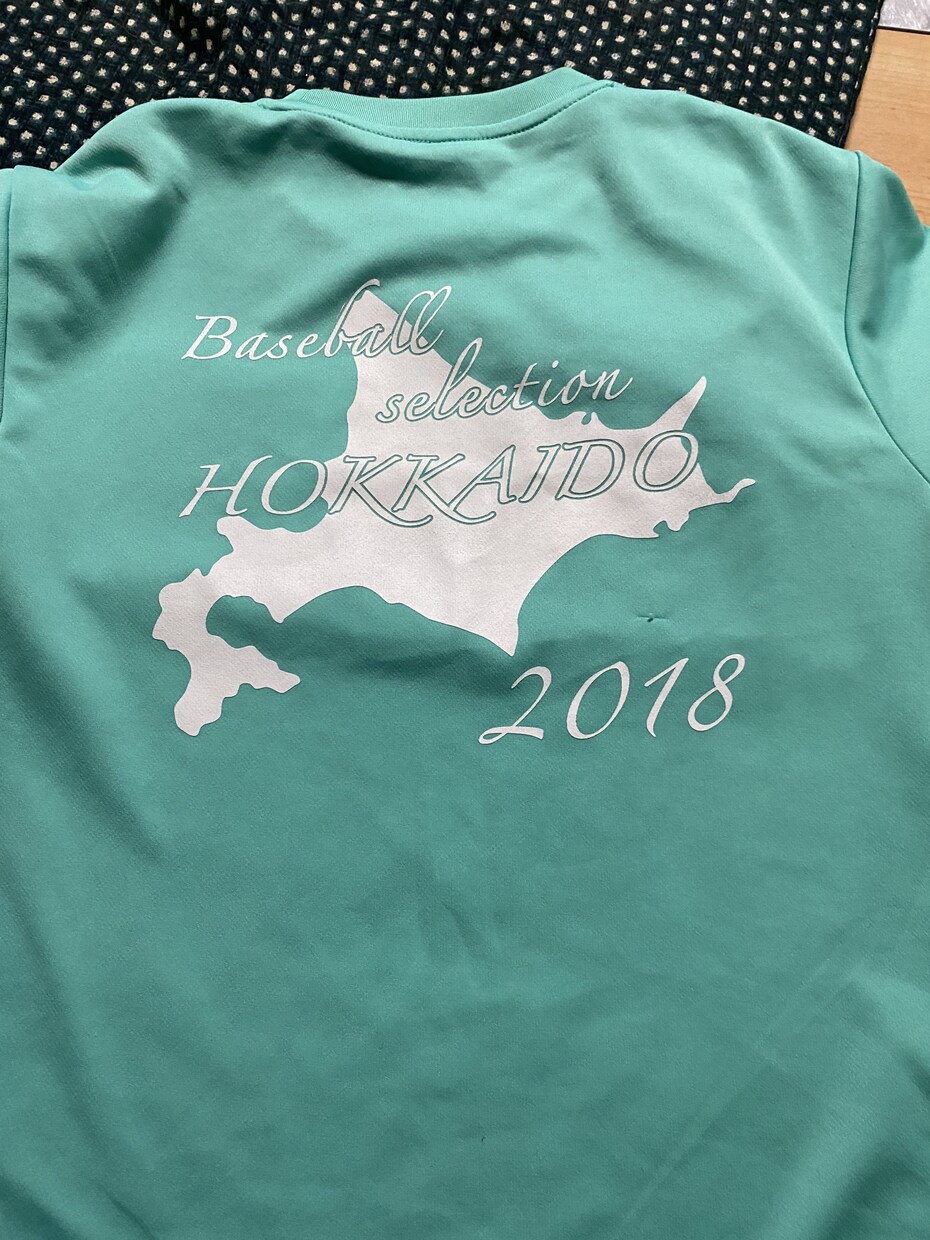 サンプル作ります ペットのステッカーやTシャツのデザインなど！ イメージ2